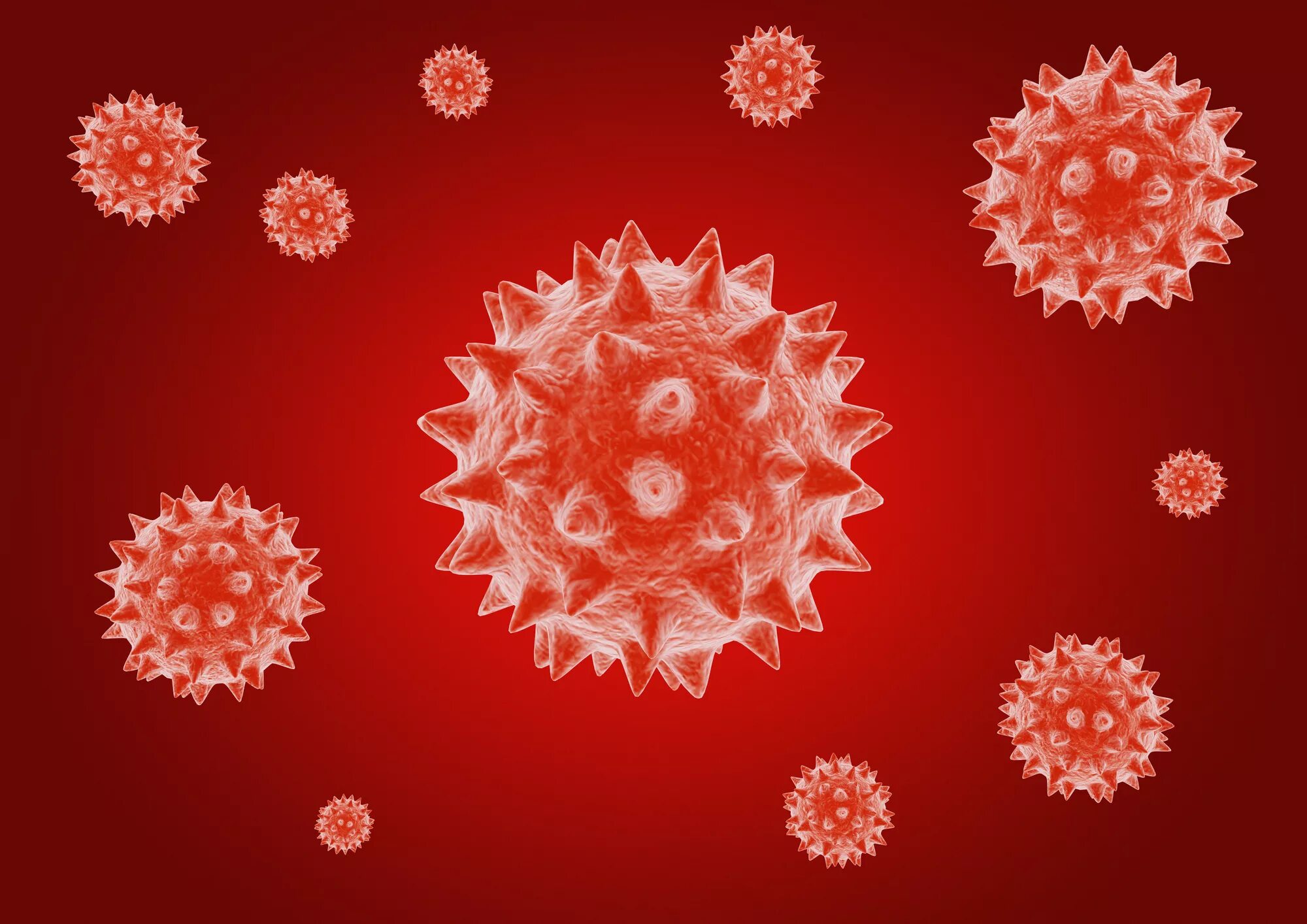 Вирус три в одном. Вирусы разные примеры. Napah вирус. Вирусы картинки с названиями. Вирус три в одном.