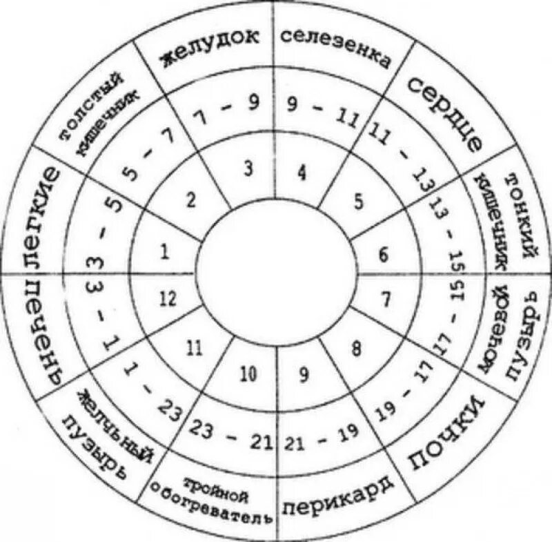 Часы почек. Активность органов в течение суток. Меридианы активность по времени. Периоды активности внутренних органов. Время активности меридианов человека таблица время.