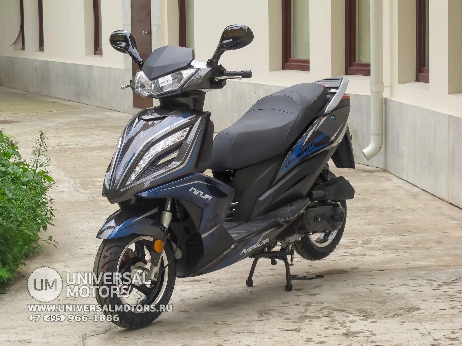 Honda ninja rp 80. Honda ninja 80. Скутер honda ninja rp 80. Honda ninja rp 80 (50). Honda ninja rp.