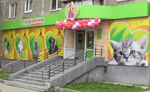 Где магазин собак