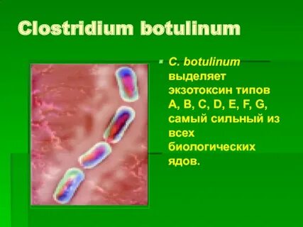 Clostridium botulinum