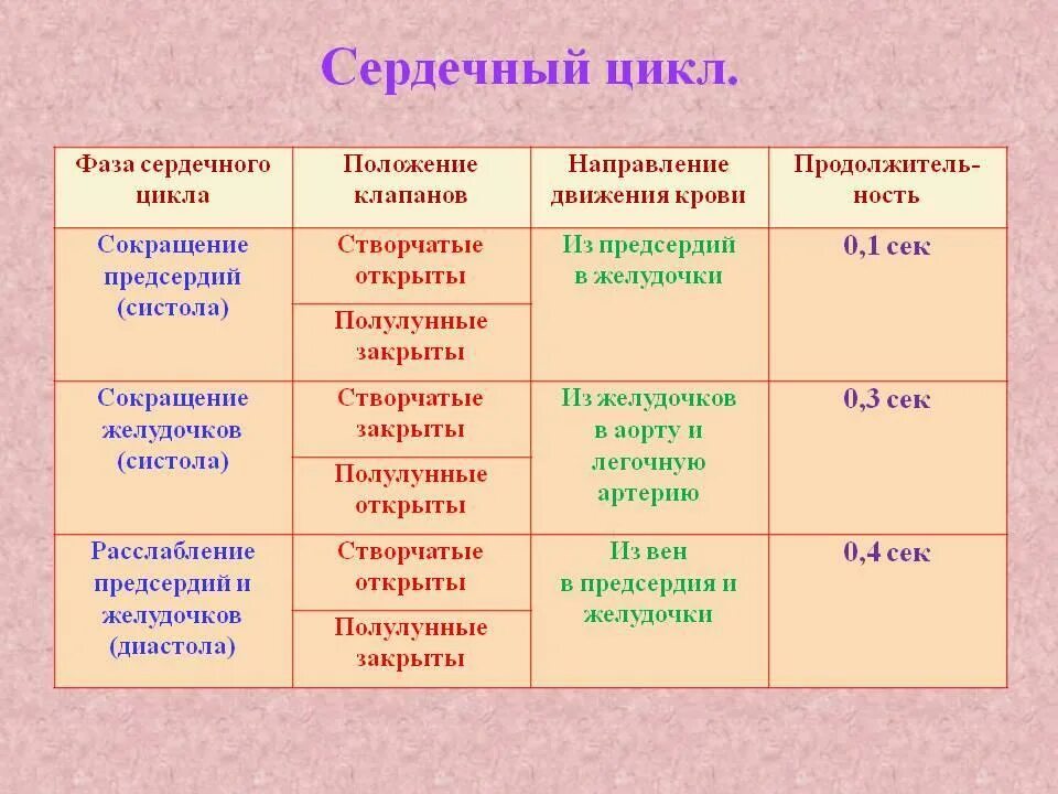 Какова продолжительность систолы предсердия если известно. Таблица фазы сердечного цикла длительность фазы. биология фазы сердечного цикла таблица. схема последовательности фаз сердечного цикла. продолжительность 2 фазы сердечного цикла.