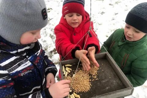 Птицы зимой дети кормят птиц зимой