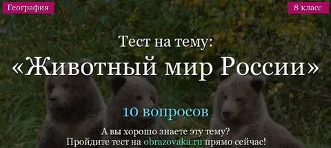 Тест животный мир 3 класс