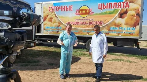 Агрофирма восток