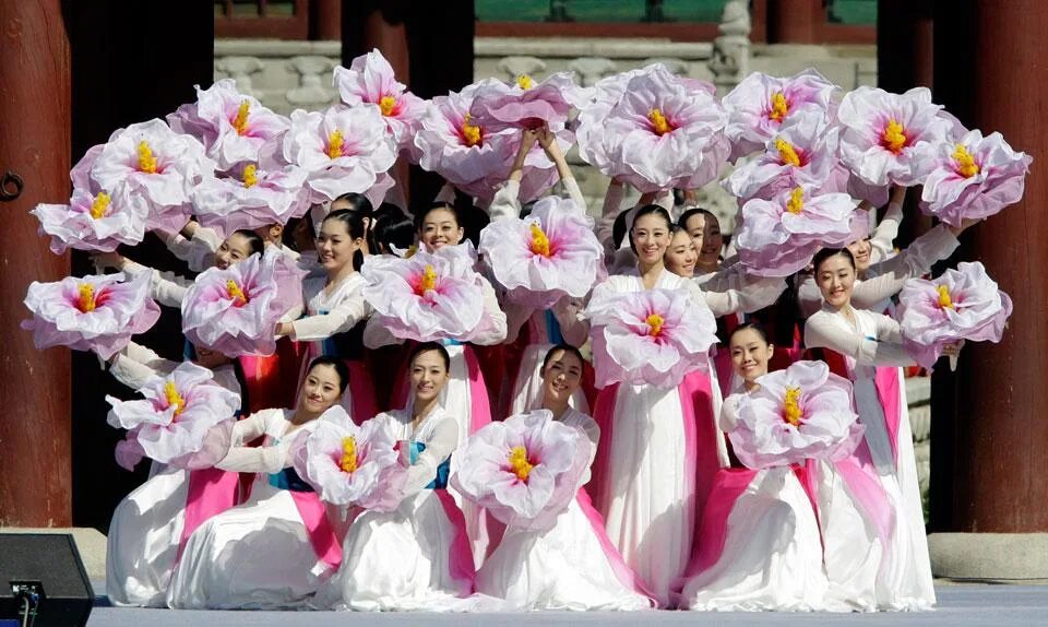 Цветочные танцы где. Мугунхва Корея. Цветок Мугунхва в Корее. Гибискус Южная Корея. Гибискус национальный цветок Кореи.