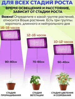 Лампа для растений сколько ватт