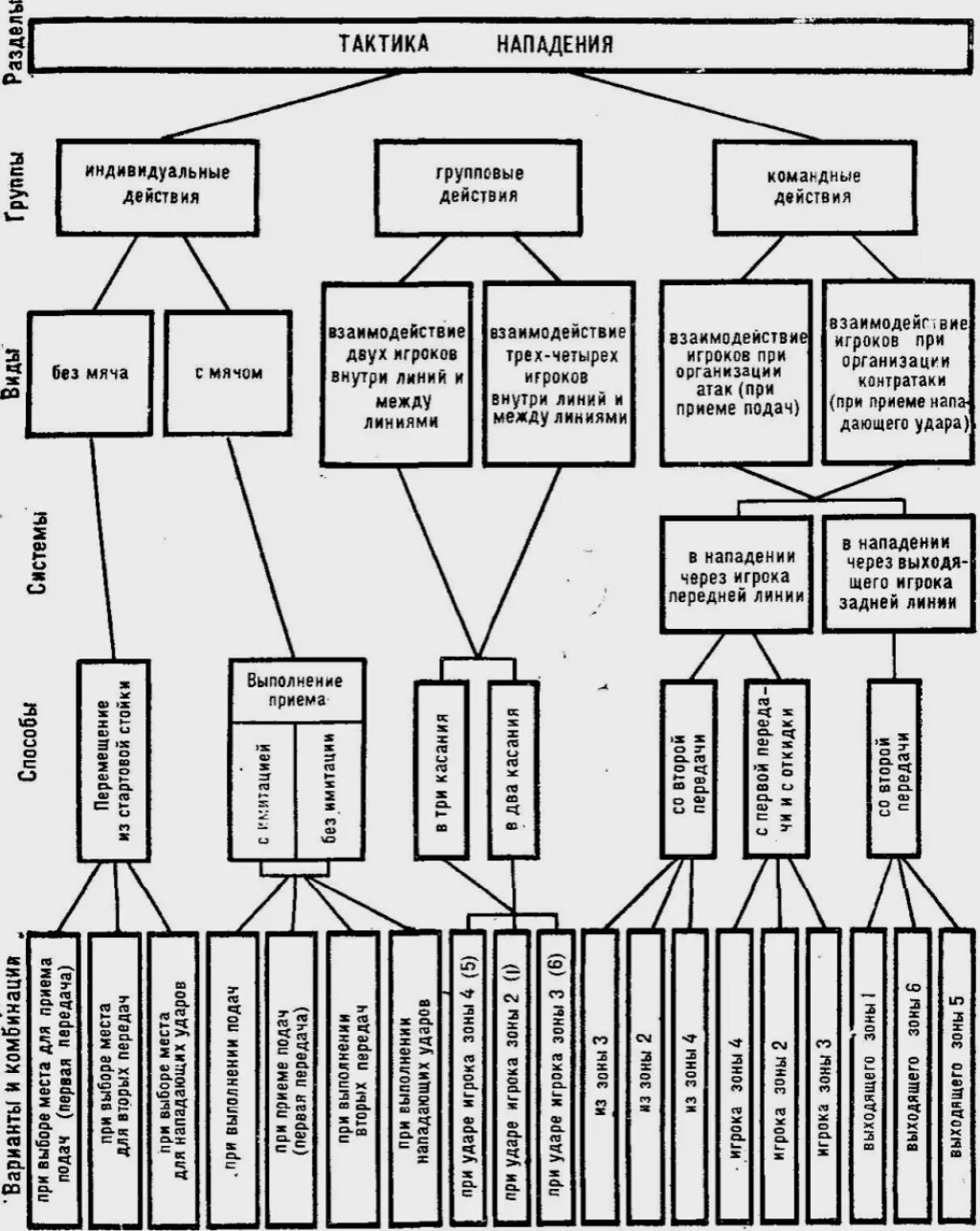 Организация тактических действий. Тактика нападения в волейболе схема. Техника игры в волейбол.тактические действия. Тактические действия в волейболе схема. Тактических схемах нападения и защиты в волейболе.
