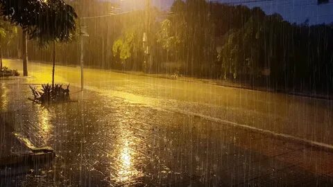 House of rain