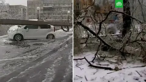 Последствия ледяного
