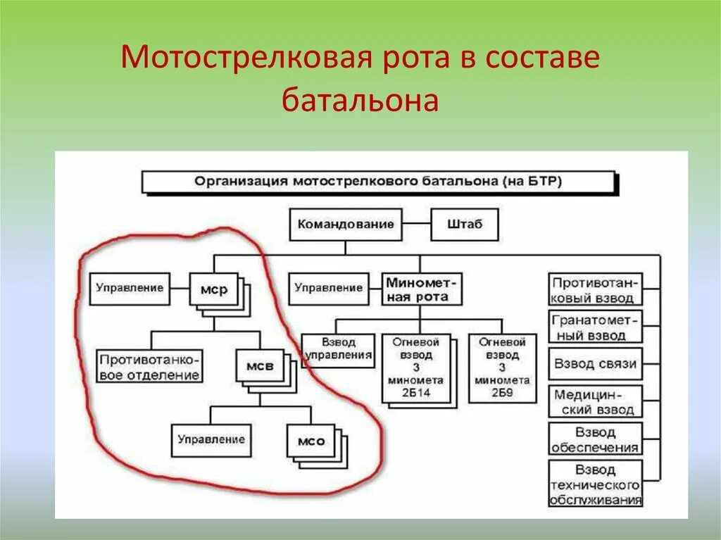 Входит в состав роты. Схема организационно штатная структура мотострелкового батальона. Организационно-штатная структура и вооружение МСБ на БМП. Организационно-штатная структура мотострелкового взвода вс РФ. Организационная структура мотострелкового батальона на БТР.