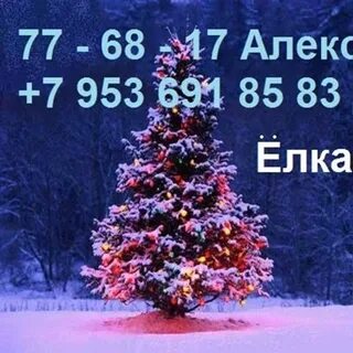 Имя для ели