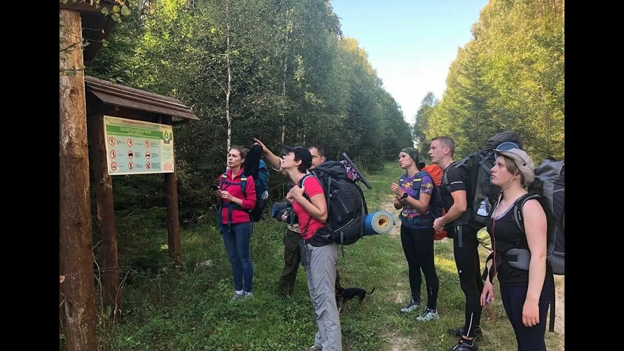 В группе туристов 200. Поход. Группа туристов. Туристическая группа. Группа туристов в походе.