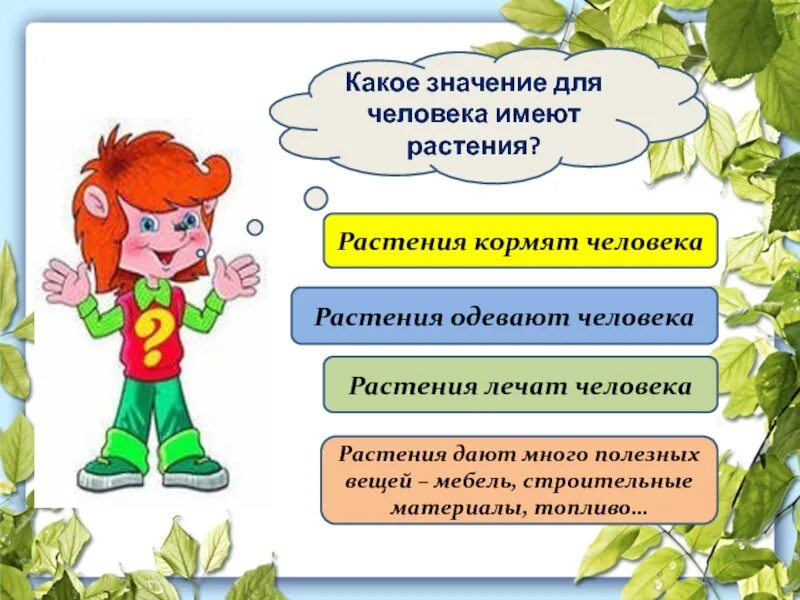 Человек получает от растений. Растения которые одевают. Какое значение для человека имеют растения. Что дают растения человеку. Растения которые одевают человека.