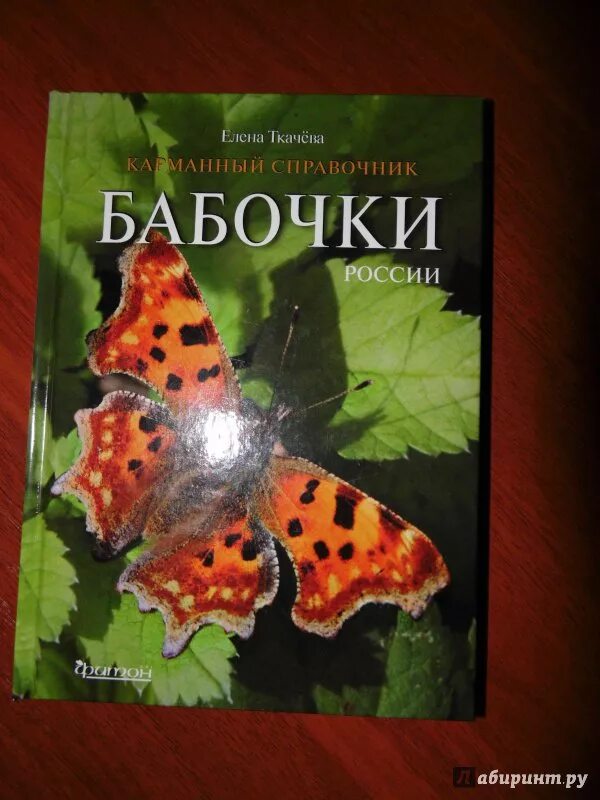 Бабочки россии книга. Бабочки России Ткачева. Бабочки России книги. Справочник бабочек. Научная литература про бабочек.