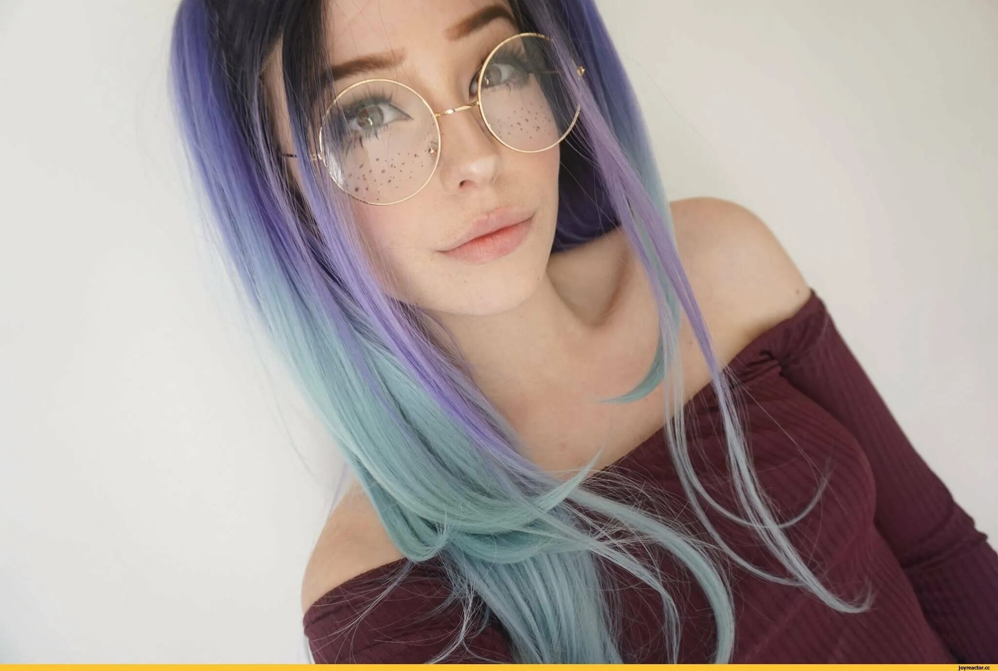 Bella delphin