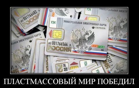 Пластмассовый мир победил гражданская