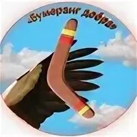 Отряд бумеранг. Волонтерский отряд бумеранг. девиз отряда бумеранг.