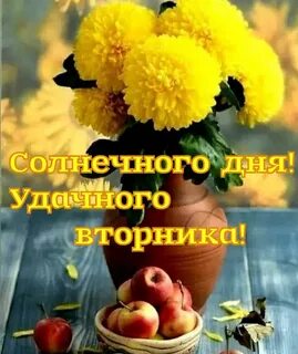 Доброго солнечного вторника