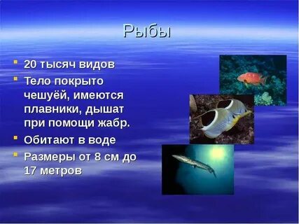 Царство рыб 3 класс