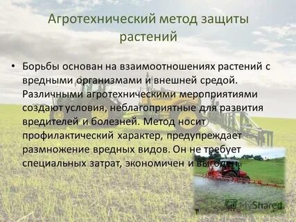 Агротехнические мероприятия