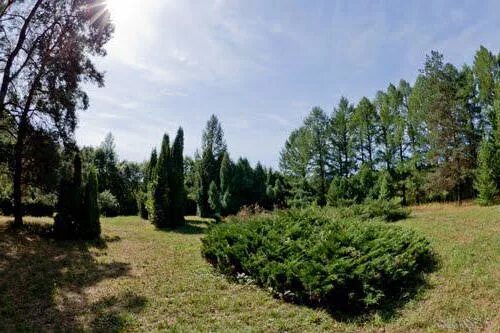 Св сад нижегородская. Ботанический сад Нижний Новгород. Ботанический сад ННГУ им. н. и. Лобачевского. Нижегородский Ботанический сад университета н и Лобачевского. Ботанический сад Приокский район Нижний Новгород.