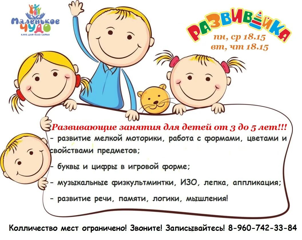 Развивающая беседа пример