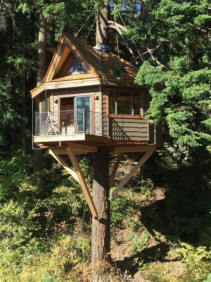 It s a tree house