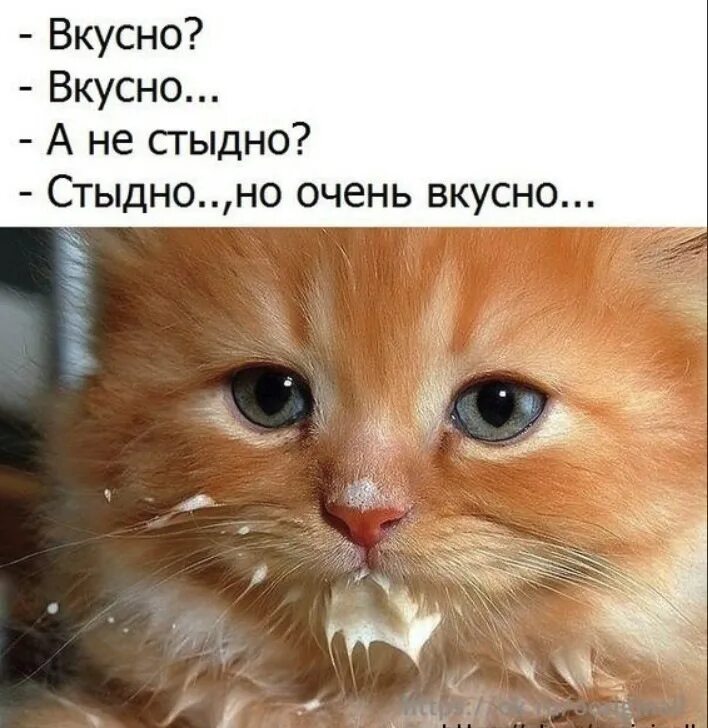 Было очень вкусно картинки. Вкусно надпись. Ну вкусно было. Вкусно не по вкусу а по сути. Очень вкусно.