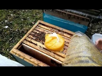 Сколько рамок оставлять пчелам на зиму