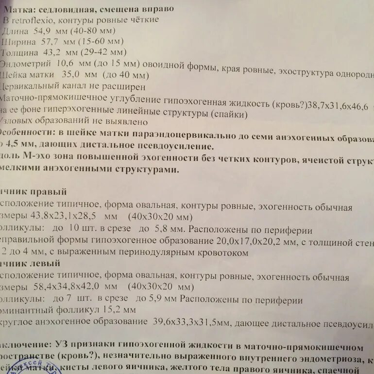 Внематочная беременность УЗИ протокол. Заключение УЗИ при внематочной беременности на раннем сроке. Справка УЗИ С внематочной беременностью. Внематочная беременность по УЗИ протокол. На узи видно внематочную