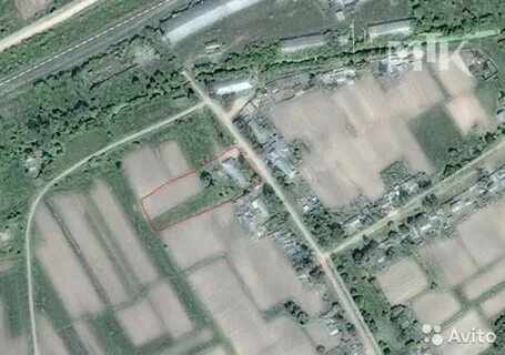 Карта чернышевки