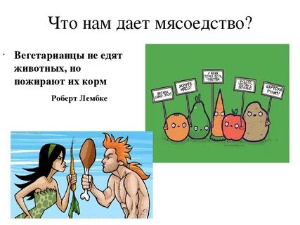 Чем питаются вегетарианцы