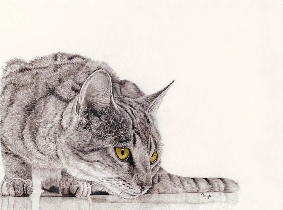 Котова кошка. Кошка карандашом. Кошка рисунок карандашом. Карандашный рисунок кошки. Рисунки карандашом животные кошки.