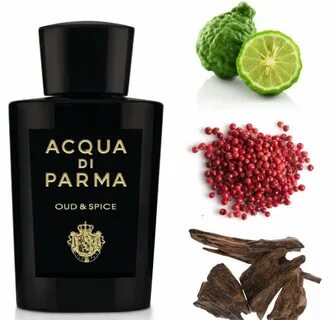 Acqua di parma oud