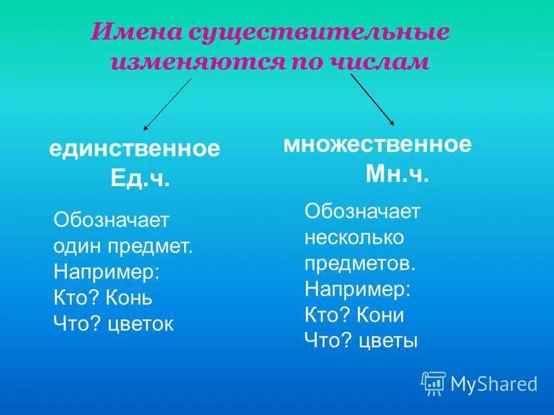 Как изменяются имена существительные. Существительные изменяются по числам. Имя существительное изменяется по числам. Имена существительные изменяются по. Существительные не изменяющиеся по числам 3 класс.