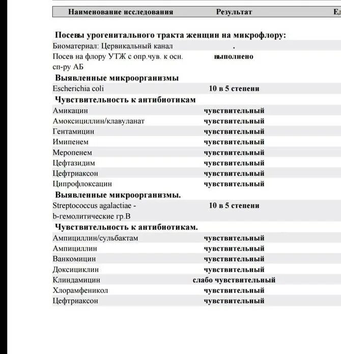 Escherichia coli что это у мужчин. Бак посев мазка норма. Бактериологическое исследование мочи норма у женщин. Бак посев мочи Escherichia coli 10 4. Бактериологическое исследование мазка в гинекологии расшифровка.