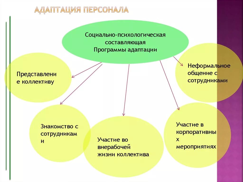 Проблемы адаптации персонала. Автоматизация адаптации персонала. контроль адаптации персонала. инновации в адаптации персонала. визитка адаптация персонала.