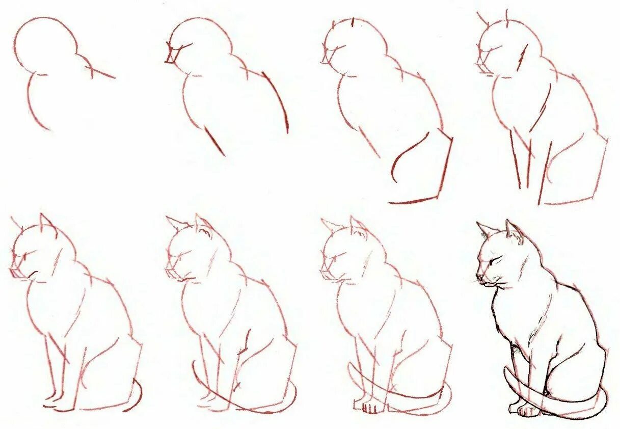 Поэтапное рисование карандашом. Кошка рисунок карандашом. Поэтапный рисунок кошки. Схема рисования кошки. Можно научиться легко