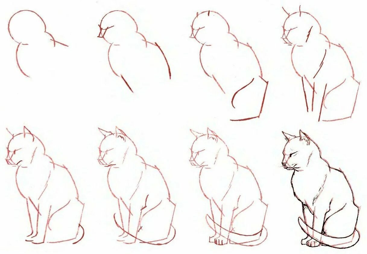 Как научиться рисовать котика. Как научиться рисовать котика