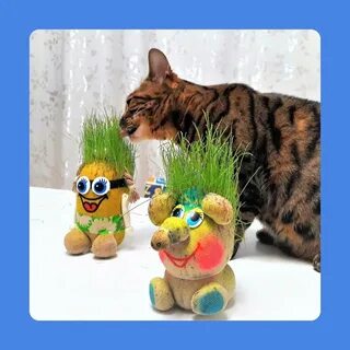 Живой игрушечный