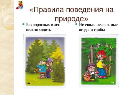 Правила поведения на природе