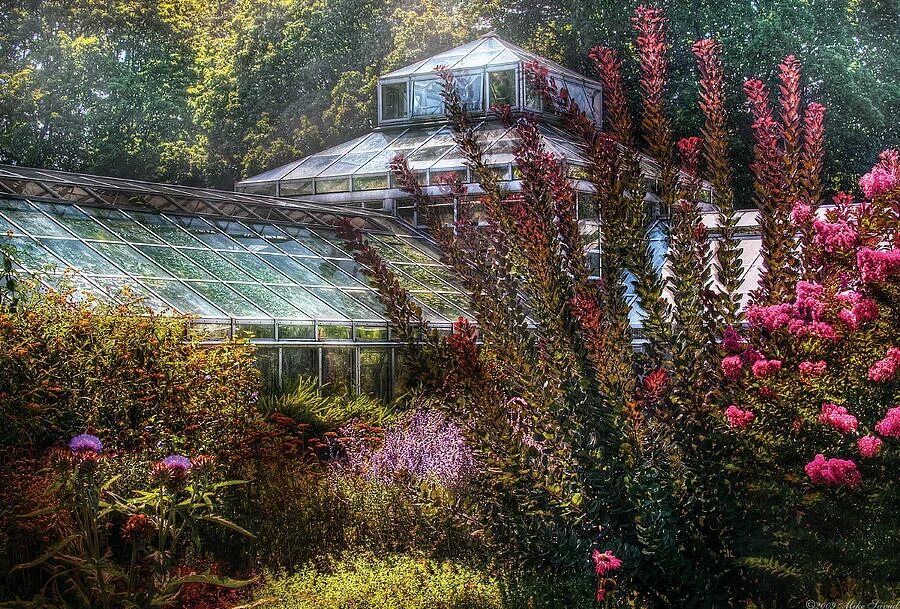 Викторная оранжерея санкт-петербург. Оранжерея кью гарденс. Скай гарден лондон. Ботанический сад петра великого в санкт-петербурге. Ботанические сады чинатаун сидней.