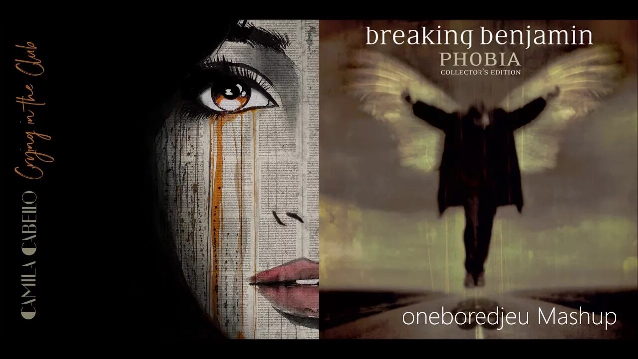 Diary of Jane. Breaking Benjamin - the Diary of Jane. Breaking Benjamin Phobia. Брейкинг Бенджамин дневник Джейн.