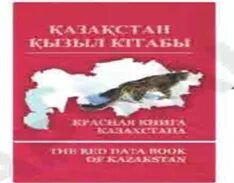 Концерттік секс порно видео