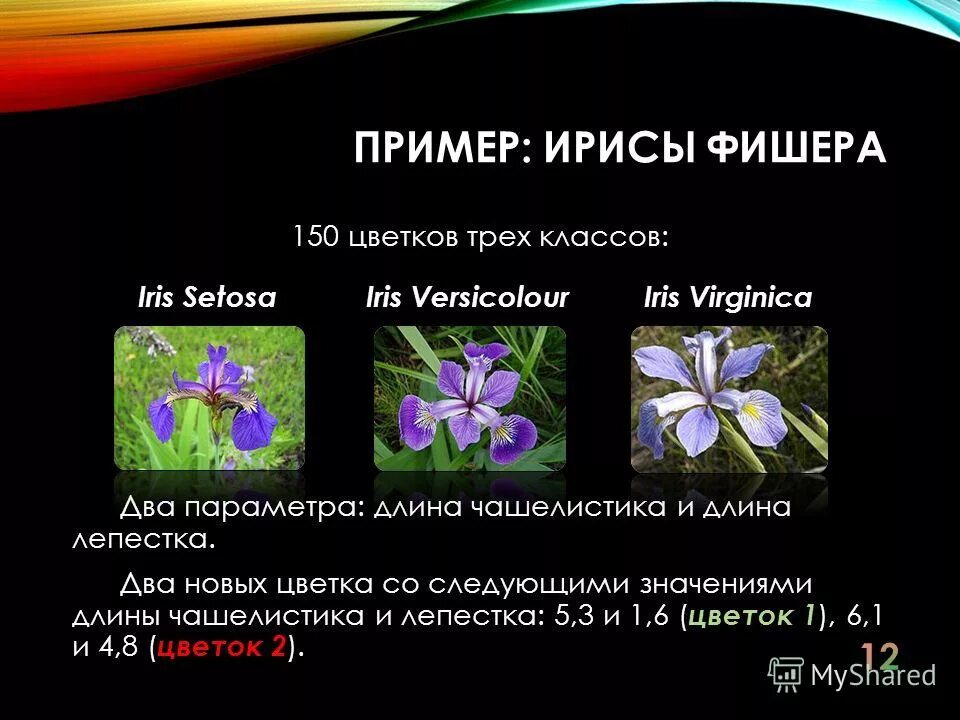 Набора данных ирисов фишера. Диаграмма рассеяния (scatter plot). Задача классификации цветков ириса. Набора данных ирисов фишера. Iris dataset.