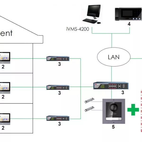 Ds network
