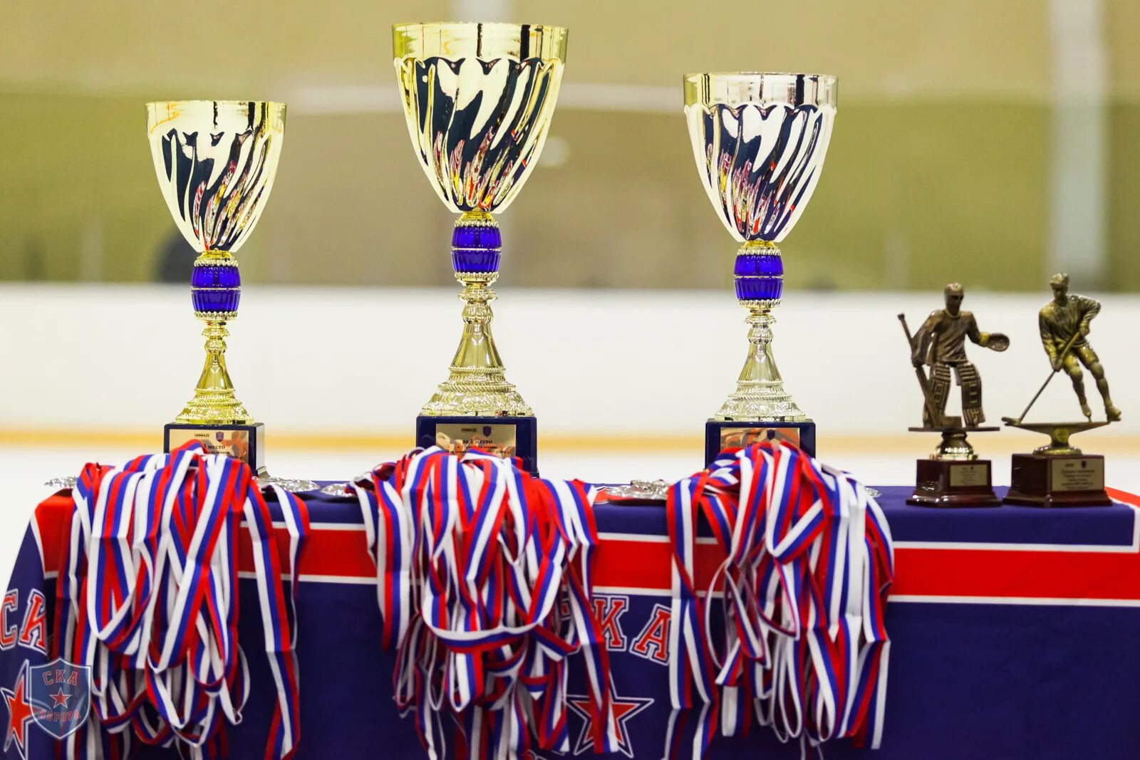 Кубок по хоккею. Кубок хоккеиста. Хоккейный кубок. Необычные спортивные кубки. Кубок хоккеиста.