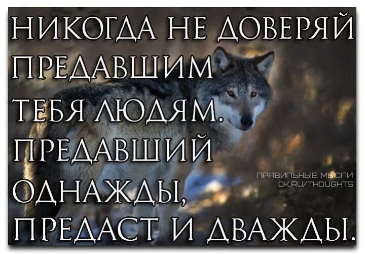 Предавший однажды предаст снова. Однажды предавший предаст тебя. Предав однажды предаст и дважды. Предавший раз предаст тебя и дважды. Предавший раз предаст и дважды.