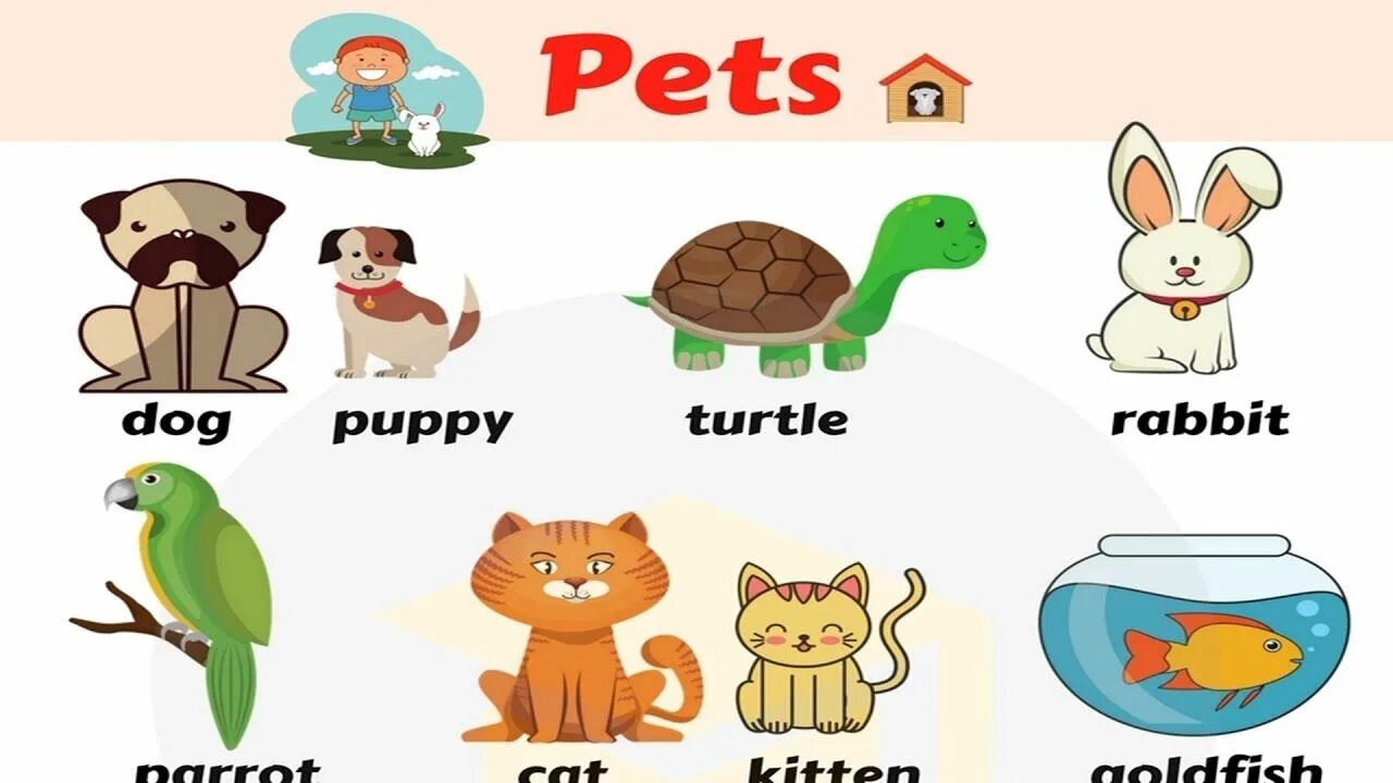 Pets in English. My Pets урок английского для малышей. Pet animals Vocabulary. Pet animals Flashcards. Pets vocabulary